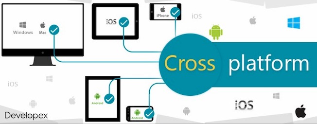 Cross-platform Hybrid Middleware Client