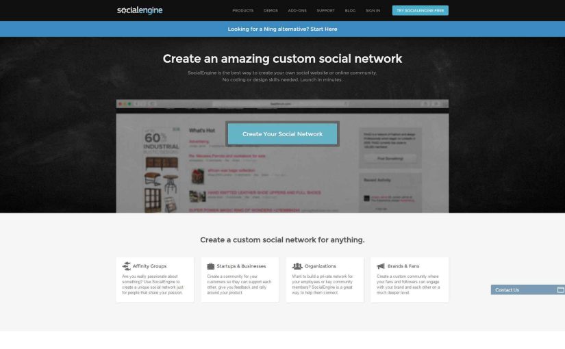 Social Network MVP (with SocialEngine)