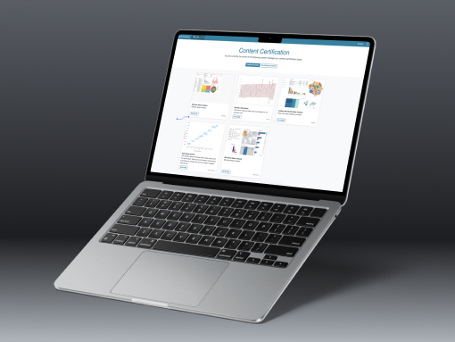 BI Company Product Growth & Support - Developex Case Study
