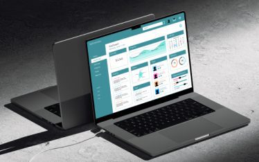 Web Application Development for BI Platforms (2)
