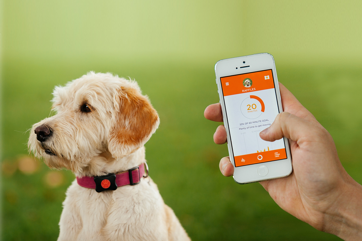 Mobile payments concept with BLE