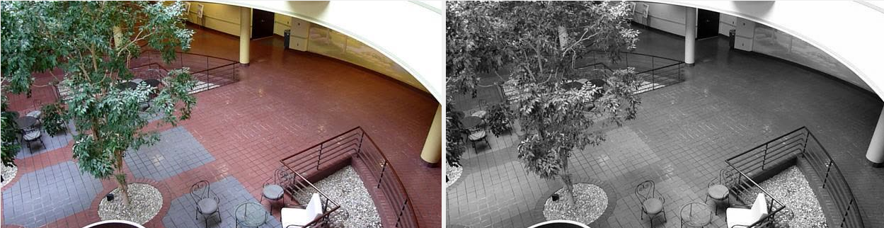 Figure 1. Gray scaled frame for faster motion detection.