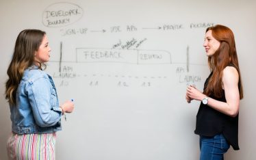 Manage Software Development for Consumer Electronics