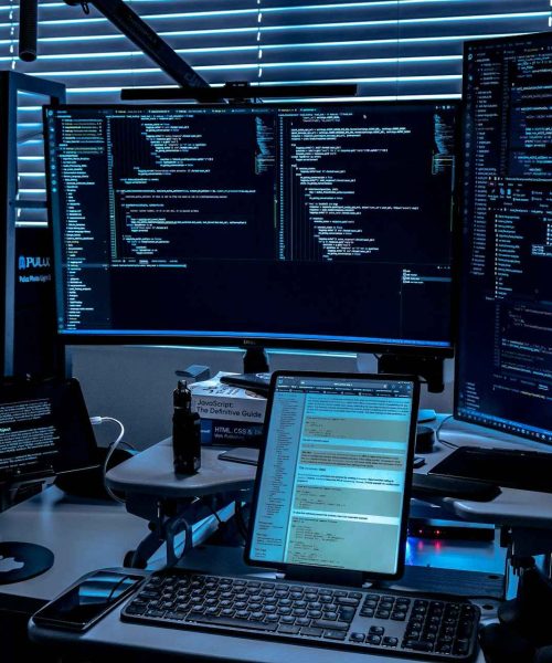 Software Audit Services