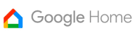 google home